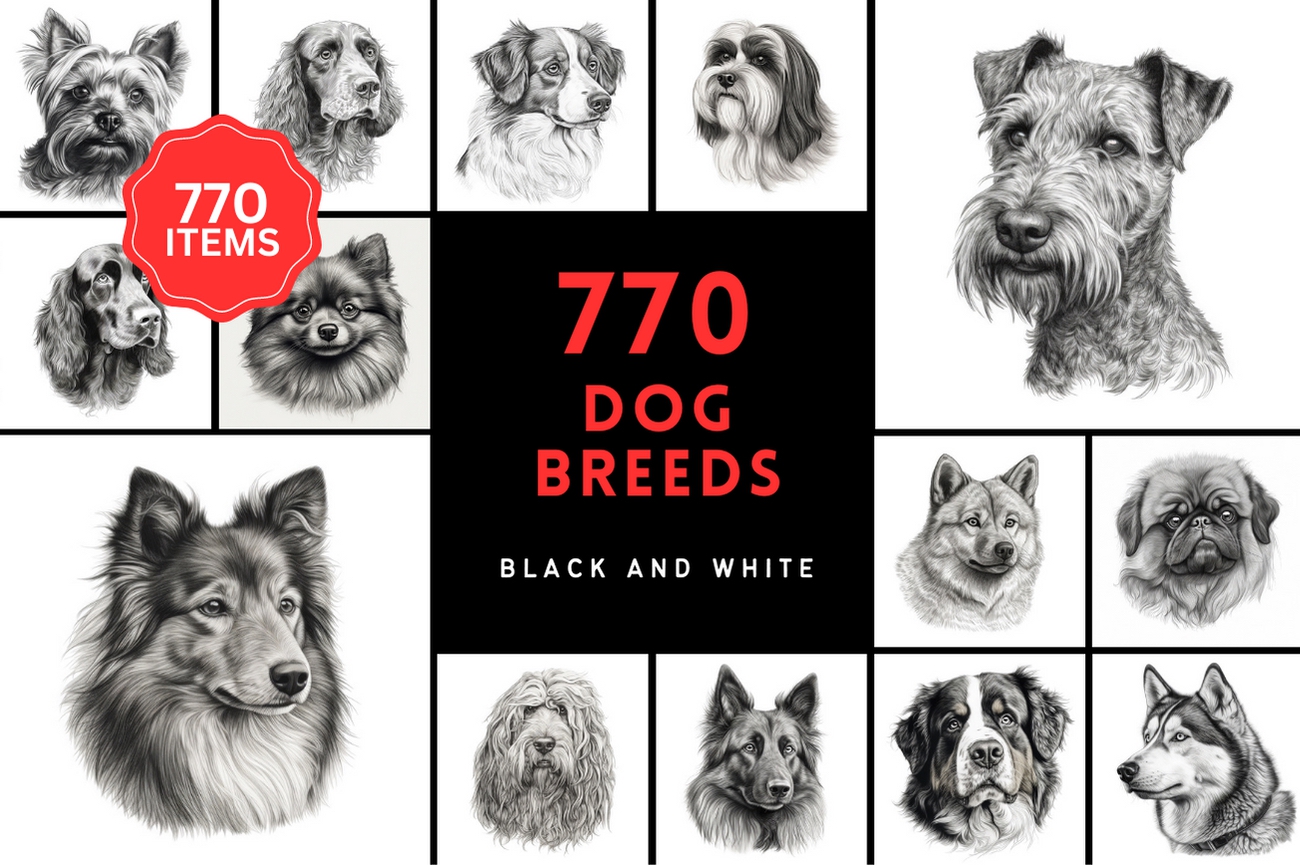770 Sketch Dog Breed PNGs, Black & White Dog Images