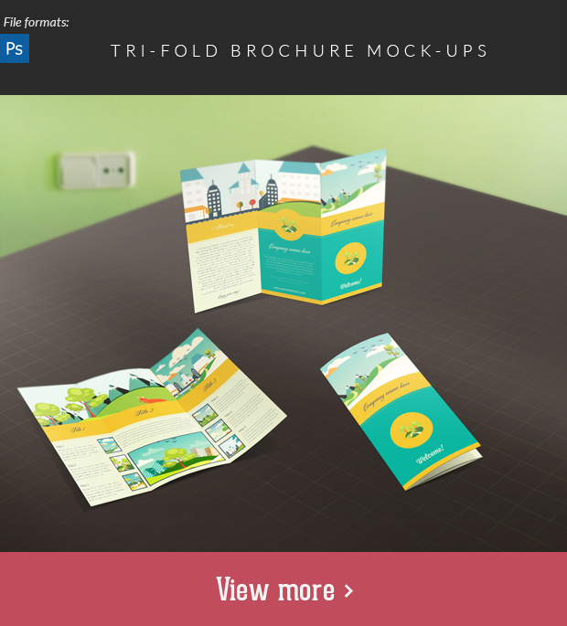 Tri-Fold Brochure Mock-Ups