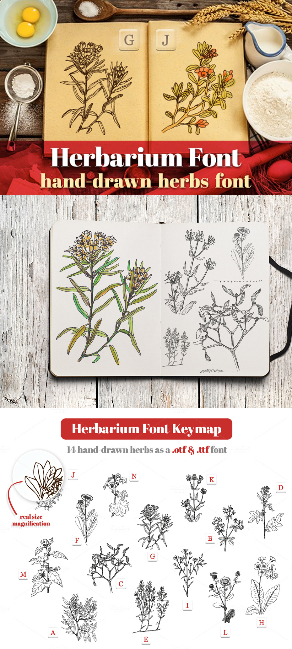 Herbarium font