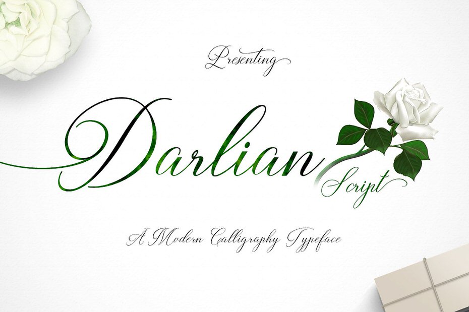 Download Calligraphy Font Bundle - 97% OFF Regular Price - Featured Lorelei Web Design