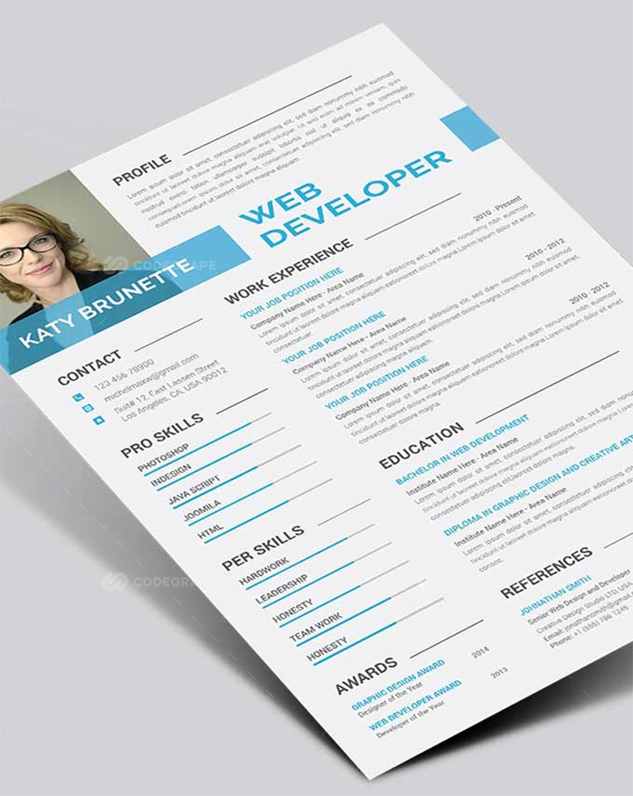 100 resume templates with extended license