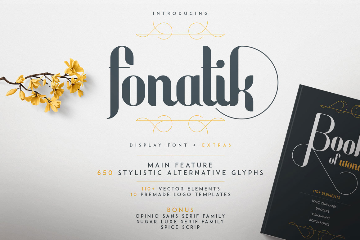 Fonatik Display font + Extras - 650 Stylistic alternative glyphs and 110+ vector elements